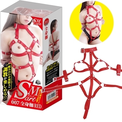 �r�l�������i�X�}�[�g�j�@�V�@�ԁiSM�E�S����j