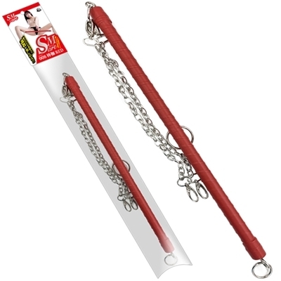 �r�l�������i�X�}�[�g�j�@�W�@�ԁiSM�E�S����j