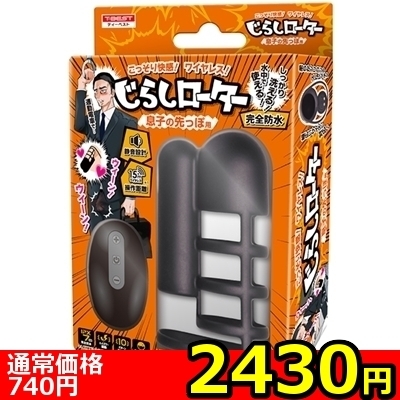 �y�Q�S�R�O�~�����ʌ���z���炵���[�^�[�@�i���q�̐���ۗp�j������l�l�P�_���聄�i�����������i�j