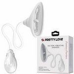 �v���e�B���u�@�i�p�b�V���l�C�g�����@�[�j(���[�^�[)