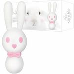 ��������(���[�^�[)