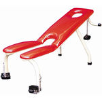 �����C�N�`�F�A�[(�Ɩ��p�i)