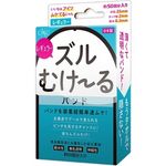 �Y���ނ��[��@�o���h�@�i���M�����[�j(�y�j�X����E��s����)