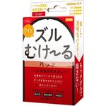 �Y���ނ��[��@�o���h�@�i���C�h�j(�y�j�X����E��s����)