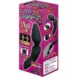 ��◐���A�����v���O�d�}�{�P�i�v���X�����j(�o�C�u�i�d���������j)