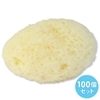 �V�R�C�ȁ@��5cm�@�i100����j